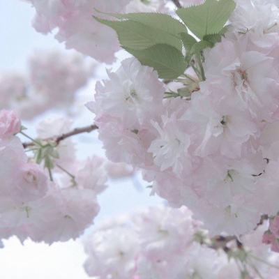 汾阳FurryQQ群介绍